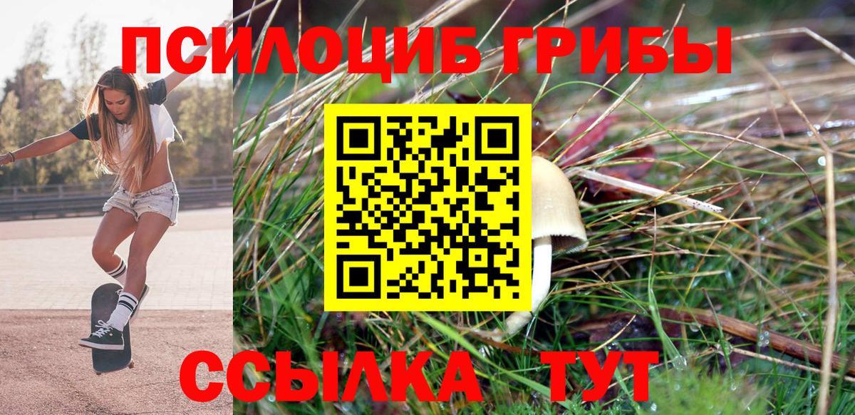 Полевской  Псилоцибиновые грибы Magic Shrooms  Вход с VPN 