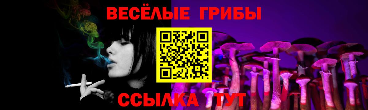 Псилоцибиновые грибы Psilocybe Полевской